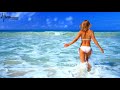 Blues lounge || Larry Carlton Crazy Mama