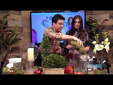 The Dish S7E36 - DIY Interior Design Tips with Signature Mike - HOLIDAY INTERIOR DESIGN TRENDS