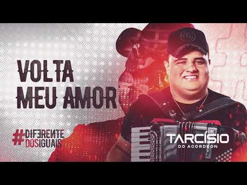 VOLTA MEU AMOR - Tarcísio do Acordeon - CD Diferente dos Iguais 2021