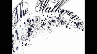 Walkmen-Fly Into the Mystery