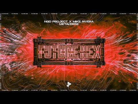 NGD Project x Mike Rivera - Metaverse
