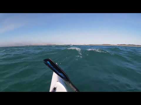 Downwind off the beach. NE wind small swell sweet background tunes