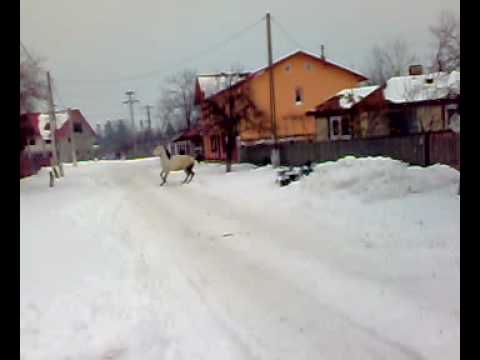 suru din malu rosu.mp4