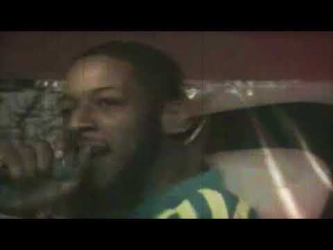 Viro The Virus - $12.50 (Snowgoons Remix) Cuts by DJ Danetic