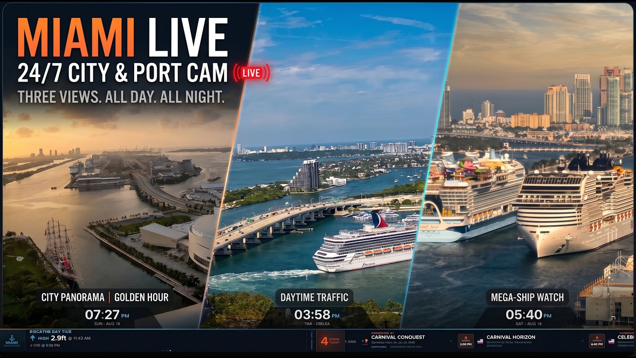 🔴 Port Miami Cruise Ship Terminals | Biscayne Bay Weather | Downtown Miami Skyline | Vice City - YouTube