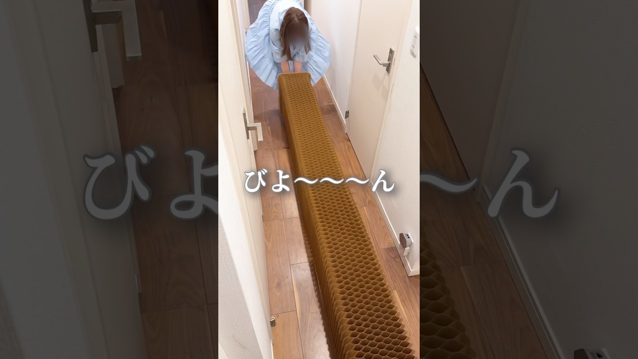 本がイスに大変身🪑折りたたみスツール！#掃除 #掃除術 #家事ラク #掃除方法 #簡単掃除  #暮らしのアイデア #ワーママ#ライフハック #pr #tao #フジテレビ #めざましテレビ