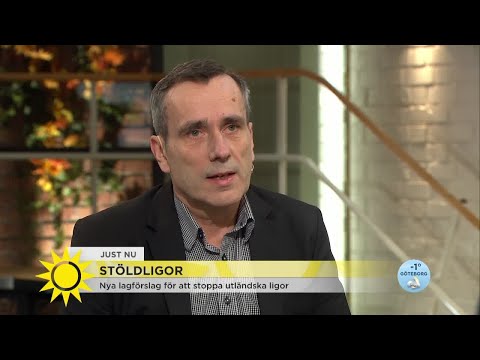 Hälften av bostadsinbrotten görs av utländska ligor – ”De kommer hit under en kort tid, begår ett st