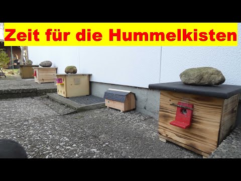 Hummelkisten im März aufstellen und auf Hummel Königin warten