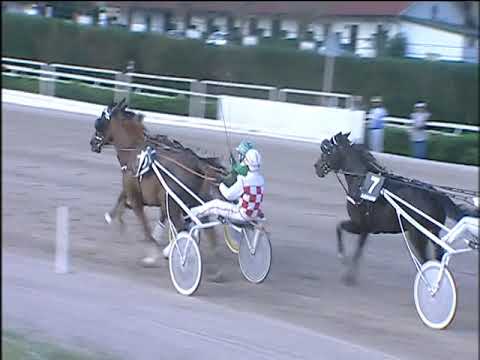 Trotto 01/12/2019 - 3ª corsa