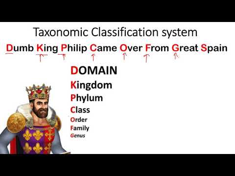 How To Remember Kingdom Phylum Etc How To Remember Kingdom Phylum Etc