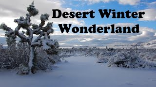 Beautiful Desert Snow Makes Winter Wonderland In Joshua Tree National Park - January 24th, 2021