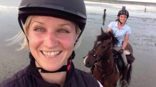 Neuwerk 2016 - Urlaub im Watt mit Pferd