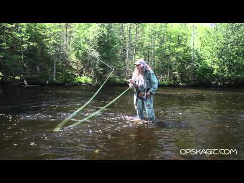 Dave Pinczkowski Single Hand Skagit Casting Opst