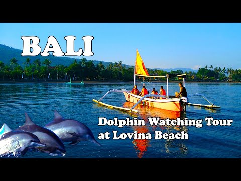 A SPECIAL ON BALI, DOLPHIN WATCHING TOUR AT LOVINA BEACH (Full-day program)