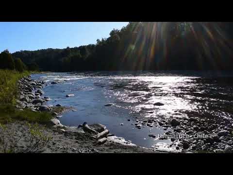 Curriñe Futrono Región de Los Ríos Chile 5