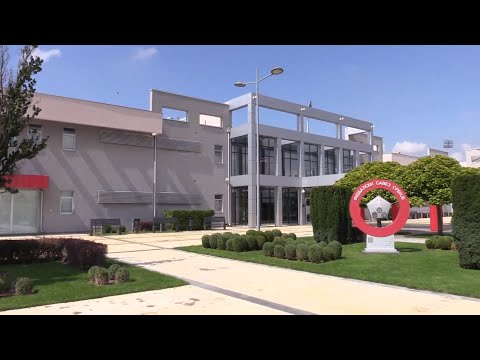 Uskoro izbori za predsednika Fudbalskog saveza Srbije – Vidić, Nedimović ili Džajić?