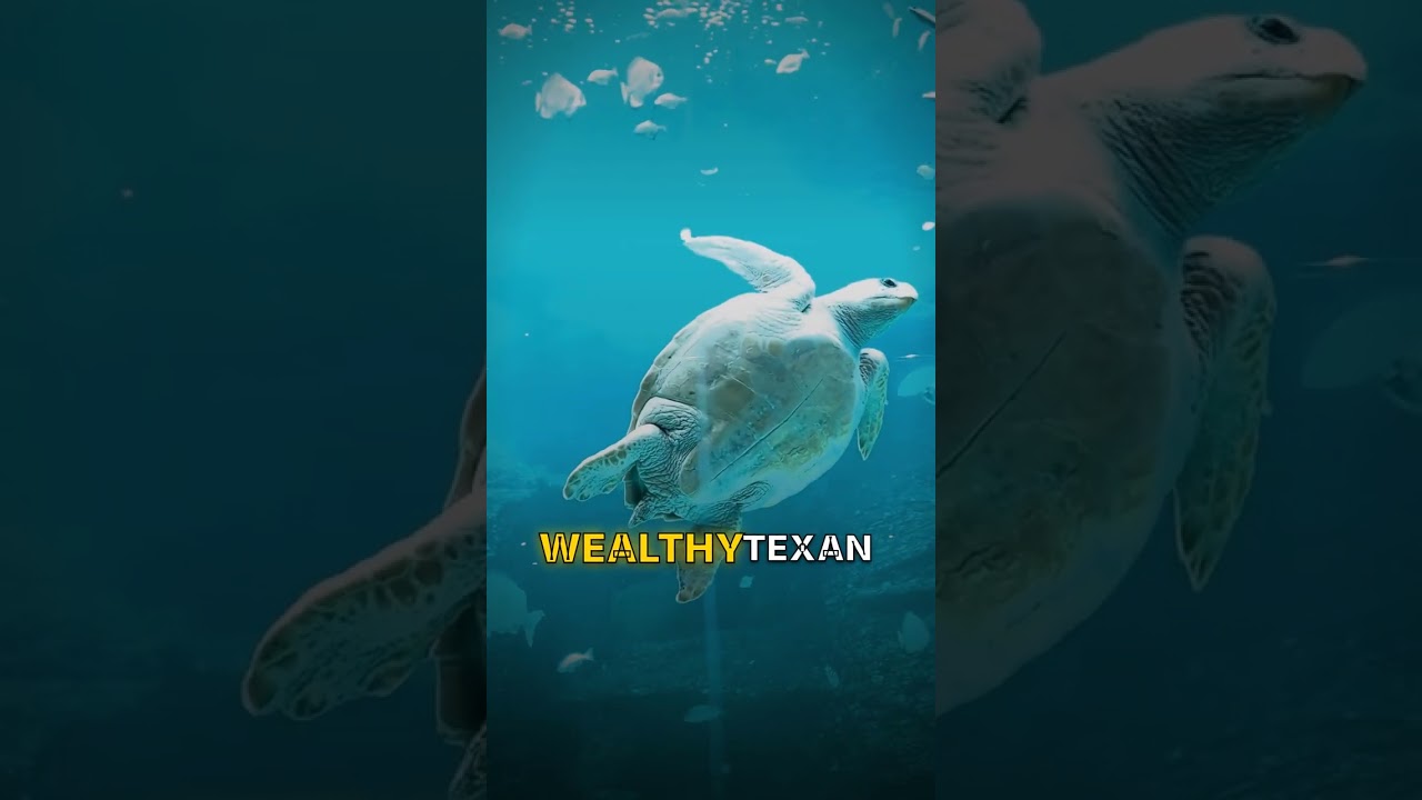 ⚙️ Insane Engineering Marvels & Illegal Megastructures: A Verified Fact Worth Knowing