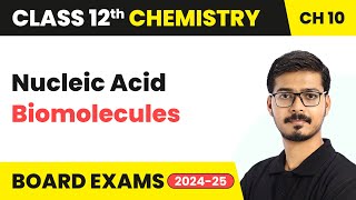 Nucleic Acid - Biomolecules | Class 12 Chemistry Chapter 10 | CBSE 2024-25