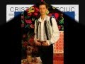 Cristian Maticiuc La casa cu poarta verde 