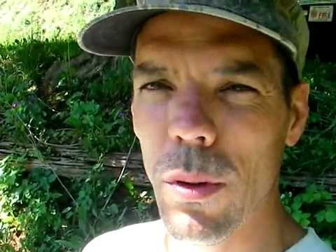 Faith Mountain Farm - May 2008 Giant Swarm