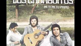 los chunguitos soy un perro callejero