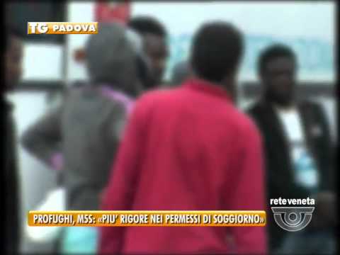PADOVA TG - 13/08/2015 - PROFUGHI, M5S: «PIU’ RIGORE NEI PERMESSI DI SOGGIORNO»