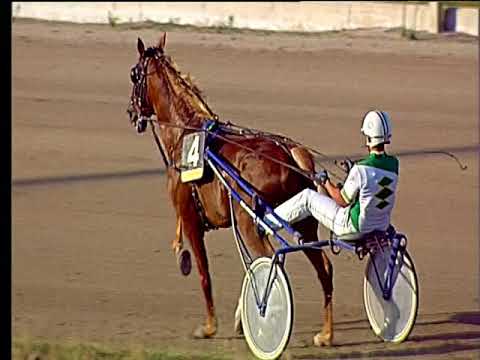 Trotto 21/06/2018 - 8ª corsa