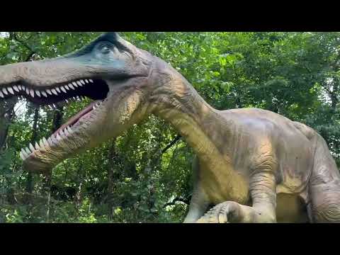 T-Rex For Sale & Schedule