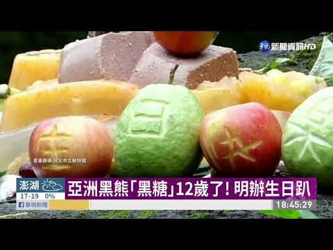 黑熊｢黑糖｣歡慶12歲 熊熊造型特製蛋糕