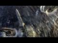 Stargate Atlantis Episode 1 Rising Scene