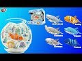 Lil' Fishys Motorised Fish & Fish Bowl Pack Toy ...