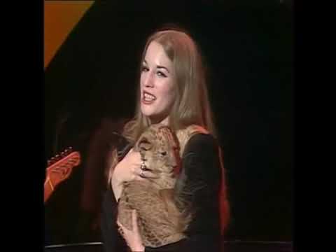 MAMA LION ( LYNN CAREY )  - Mr. invitation