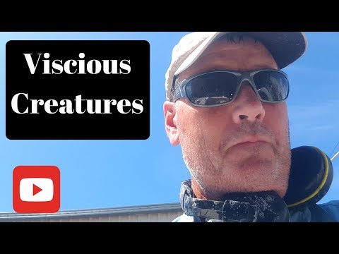 Ep019  Viscious Creatures