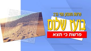 כי תצא