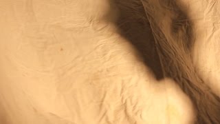 Lucid Rivers - Variations of There