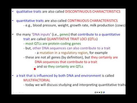 Lecture 17 - Quantitative Genetics