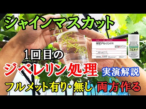 IUCN分類における絶滅の危険性を示す図。