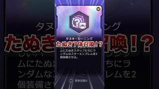 【崩壊：スターレイル】たぬきで狼を爆速レベルアップがヤバすぎた！！【Honkai: Star Rail】