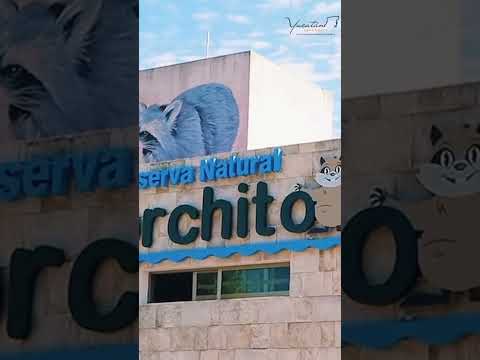 Terreno sin enganche en playa progreso YUCATAN #bienesraices #yucatán #terrenos #inversiones #trend