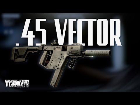 .45 Vector = 2959 DMG / Labs im Squad ist sau hart / Full Round Gameplay / 12.11 Escape From Tarkov