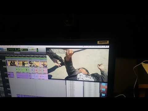 Martyrs and Marauders Master of Thought and Shalema Meszaro Fight scene