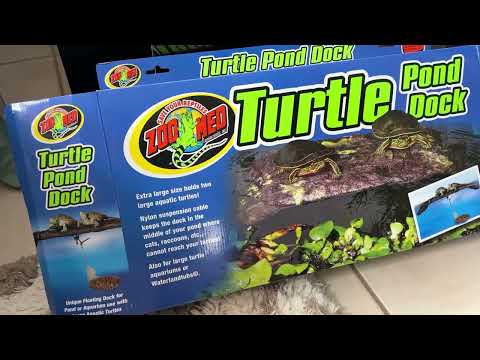 Product review caiman addition: ZooMed XL Turtle Pond Dock