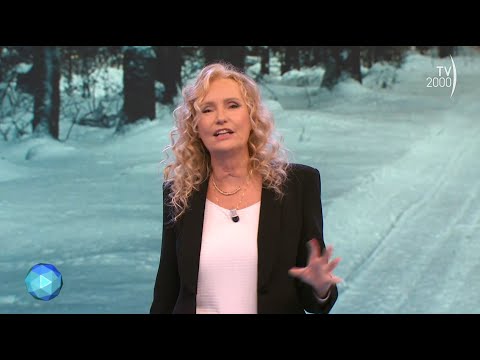 Il Mondo Insieme (TV2000), 2 aprile 2023 - L’orso marsicano, la Transilvania, il fiume Everglades