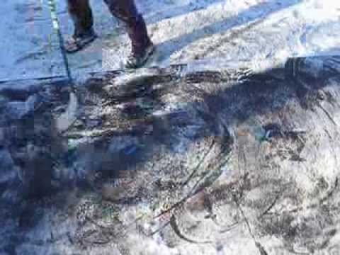 Jaakon kikkailu 2013