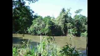 preview picture of video 'Passeio pelas margens do rio Jacaré Guaçu em gavião peixoto'