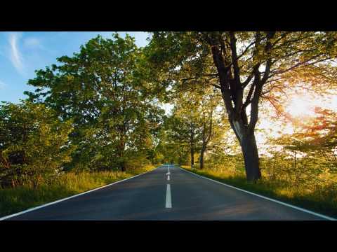 Beat Service feat. Emma Lock-Cut And Run