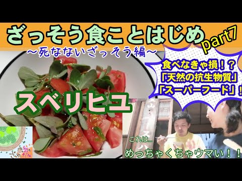 シーバックソーンは生で食べられますか? 植物
