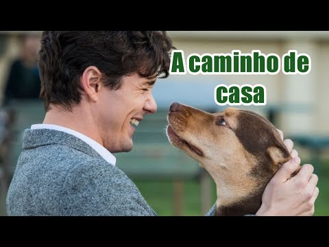 filme a caminho de casa completo em português