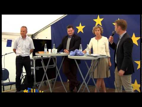 Alle taler om klimaet - hvad kan EU gøre ved det?