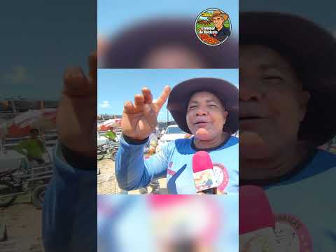 Feira de Animais de Abreu e Lima-PE Sábado: 05/09/26 #pecuarista #animais #